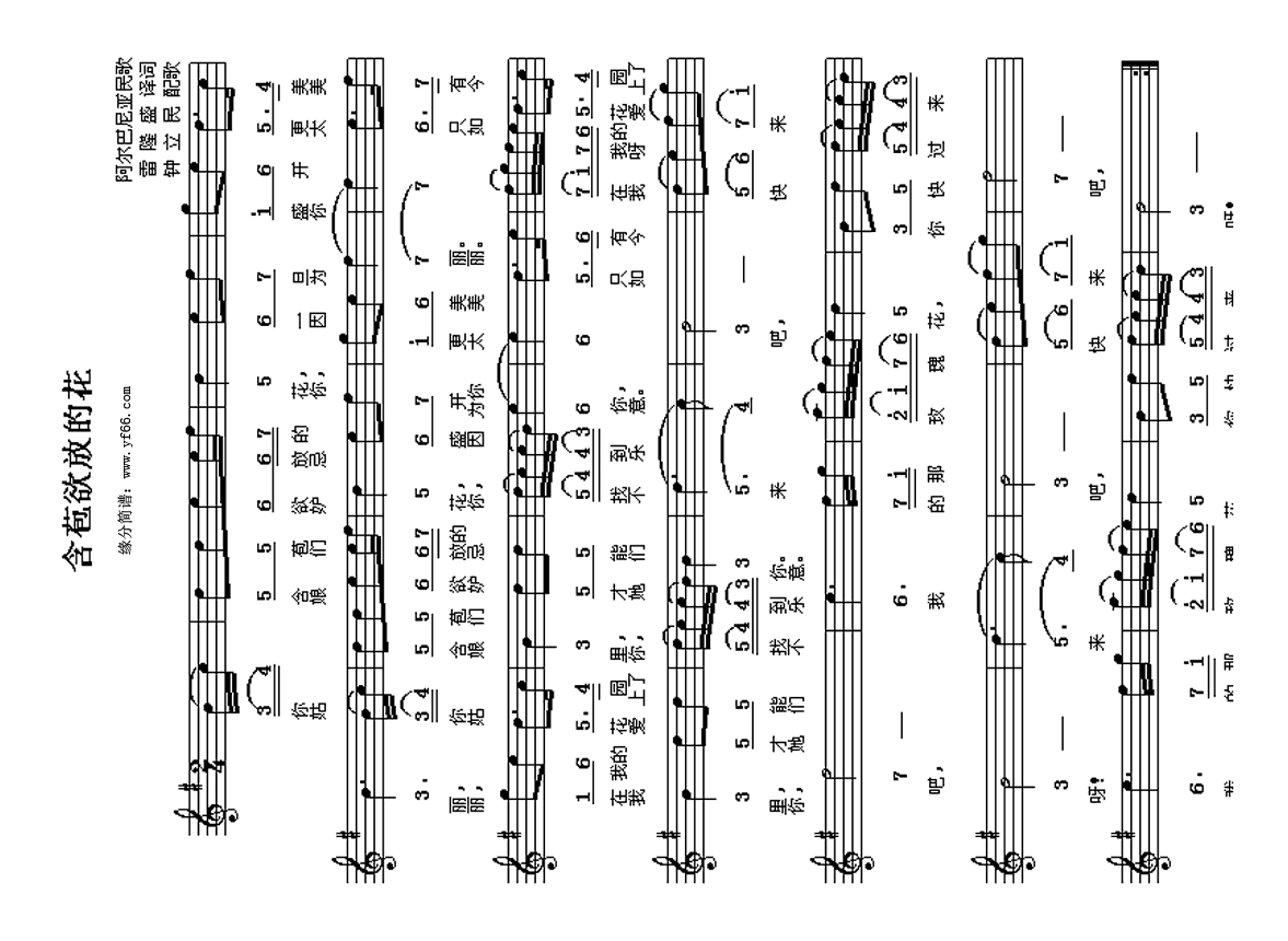 含苞欲放的花高清手机移动歌谱简谱